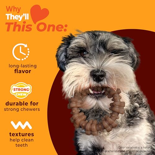 Strong Chew Ring Dog Chew Toy Made with Real Beef & Chicken (Textured Ring / Small)