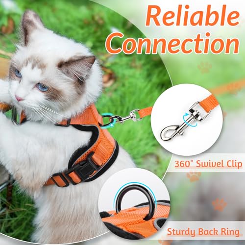 Cat Harness and Leash Set (S / Orange)