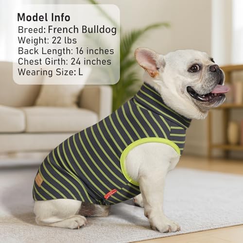 2Pack Dog Sweater for Small Dogs Soft Pet Coats Fleece Sweatshirt (Medium (7-11lbs) / 4# Stripe+Green)