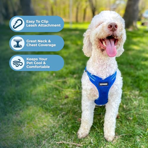 Voyager Step in Flex Adjustable Dog Harness (Harness (Royal Blue) / XS)