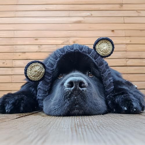 Black Bear Costume (Large / Black Bear)