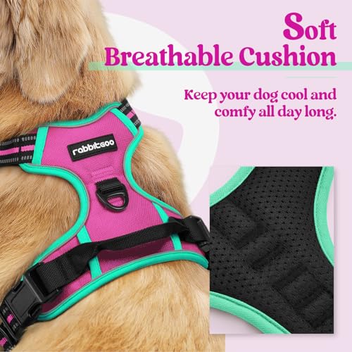 Dog Harness No Pull Medium Sized with 2 Leash Clips (Medium / Hot Pink & Turquoise)