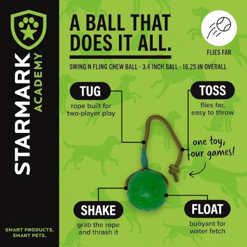 Everlasting Fun Ball on a Rope Dog Toy