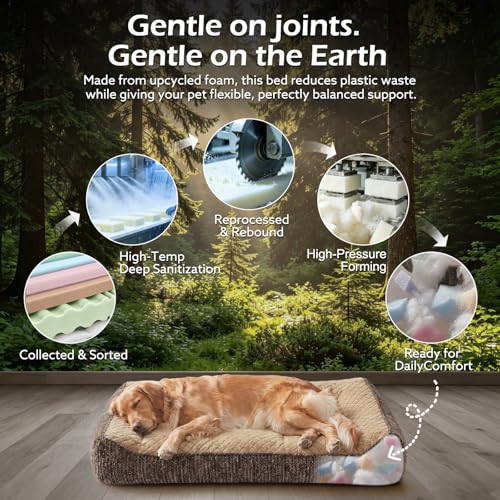XL Orthopedic Dog Bed Large Size Dog (XL(42"L x 30"W x 8.5"Th) / Brown)