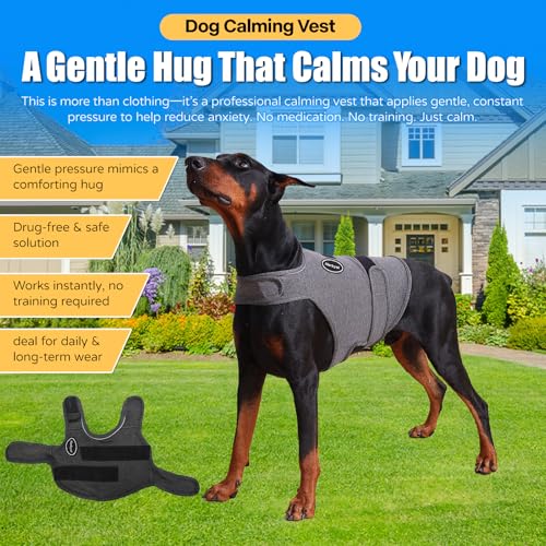 Dog Anxiety Vest (S-Chest(11"-14.9") / Dark Grey)