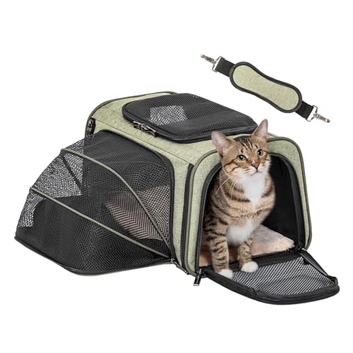 Small Expandable Cat Carrier for Air Travel (16.0"L x 10.0"W x 9.0"H / Green)