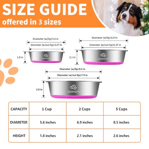 2-in-1 Metal Dog Bowl with Slow Feeder Insert, Stainless Steel Dog Bowls Food Grade 304, Water Food Bowl with Anti-Slip Silicone Base for Small & Medium Dogs(Purple, 3 Cups) (2 Cups / Purple)