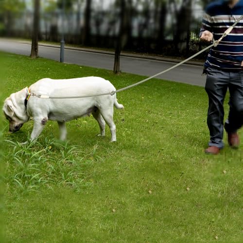 Multifunctional 8.5 ft Nylon Rope Hands Free Dog Leash for Running Small Medium Large Dogs (Gold / 8.5FT x 10MM)