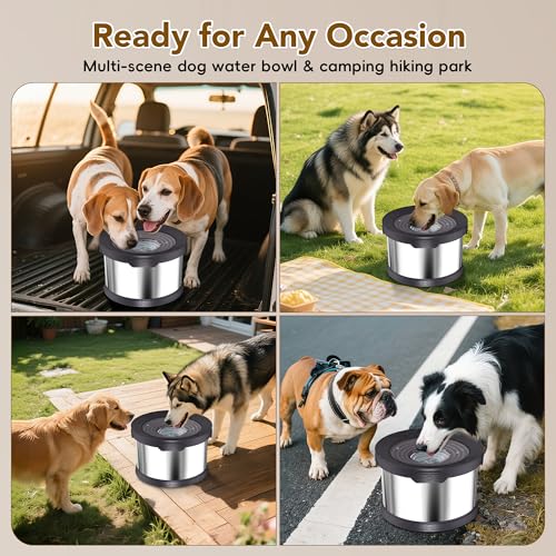12L Dog Water Bowl No Spill Stainless Steel for Slow Drinking Black (12L / Black)
