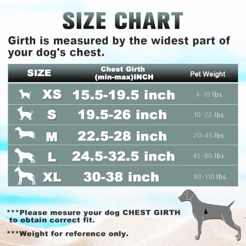 Dog Harness for Small Sized Dog No Pull Dog Vest ID Tag Pocket (Baby Blue & Baby Pink / Small)