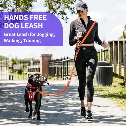 Hands Free Dog Leash by Kazazoo (ORANGE Bungee / M)