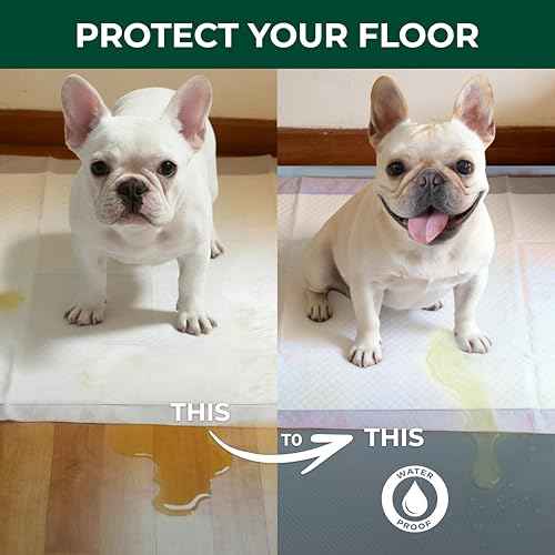 Homeplus Indoor Dog Playpen with Floor Protector Mat (White / 24"H)