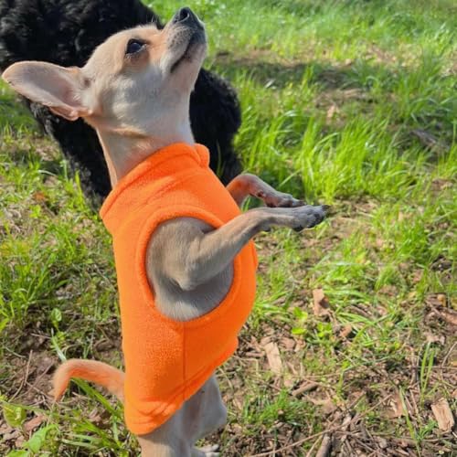Dog Fleece Vest Sweater with Leash Ring (S (4-6lbs) / Orange)