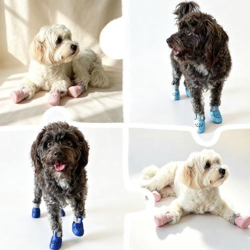 Breathable Dog Shoes Non (Blue / Large)