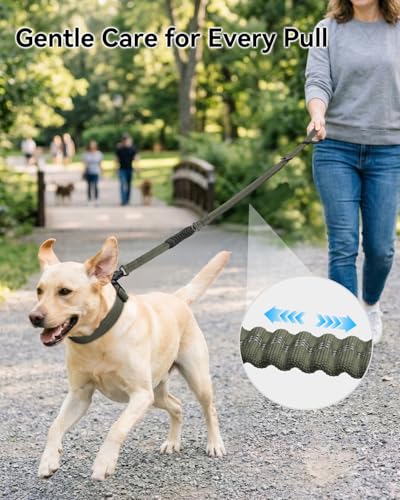 Tactical Bungee Dog Leash (Army Green)