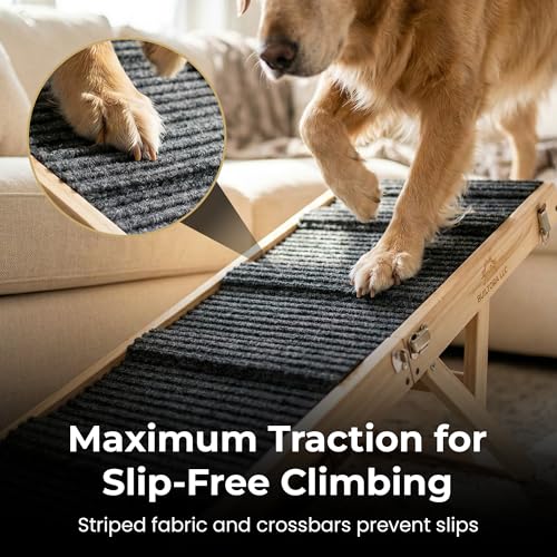 Small Dog Ramp for Bed & Couch