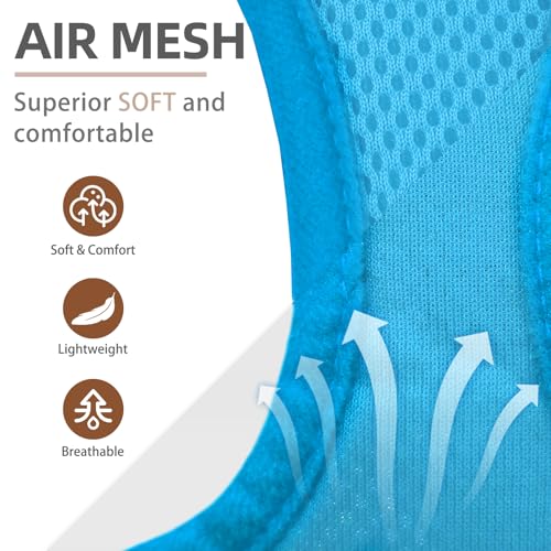 Dog Harness Collar and Leash Set No Pull for Small Medium Sized (Solid LightBlue / M (CHEST 16"-18"))