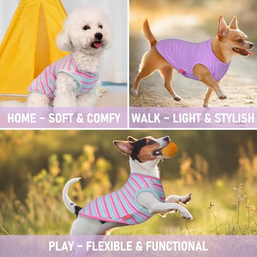 2Pack Cotton Dog Shirt for Small Dogs Soft Striped Tank Top (Medium (7-13lbs) / 04# 2Pack (Purple+Purple Striped))