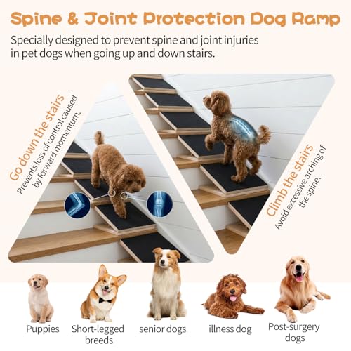 2 Pack Wood Dog Ramp for Stairs with Anti