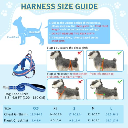 No Pull Small Dog Harness and Leash Set with Front Clip (XX-Small / Dark Blue)