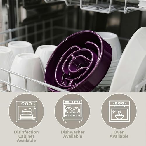 Ceramic Slow Feeder Dog Bowl (Purple)