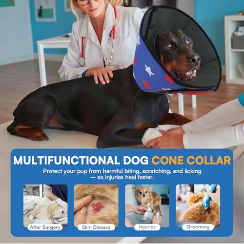 Dog Cone Cone for Dogs to Stop Licking (M / USAFlag)