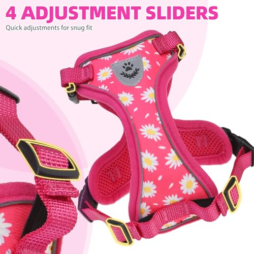 Cat Harness and Leash Set Escape Proof Reflective Cat Walking Harness Adjustable Soft Breathable Mesh Vest for Small Pets (M (NECK 11"-13.7", CHEST 16"-20") / Fuchsia Daisy)