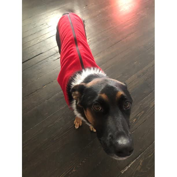 Zip Up Fleece Dog Sweater (2X-Large chest (~25.5") / Red)