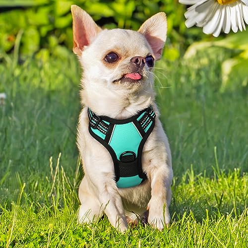 Dog Harness No Pull for Small Dogs with 2 Leash Clips (X-Small / Turquoise)