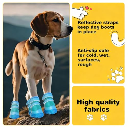 Dog Shoes for Small Dogs (Blue / #1 (Width 1.10 inch) for 2.2-6.6 lbs)