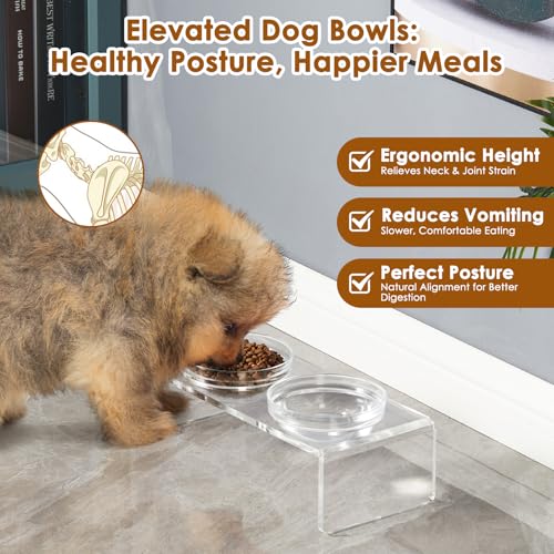 Elevated Acrylic Pet Bowl Stand (Small: 3.75'' Height, 13.7 oz Glass Bowl)