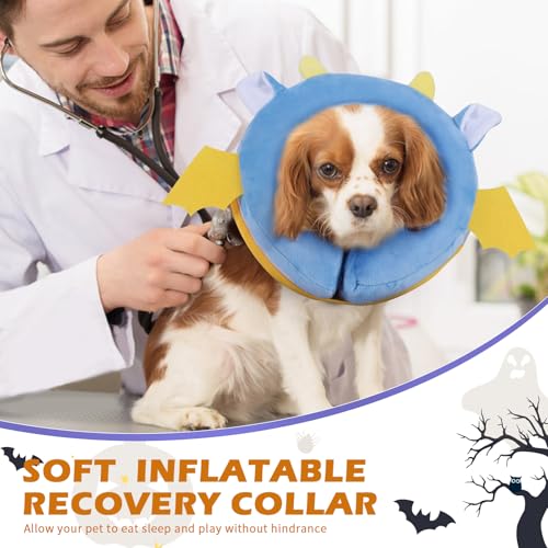 Inflatable Recovery Dog Collar (Vampire / Medium (Neck:8''-10''))