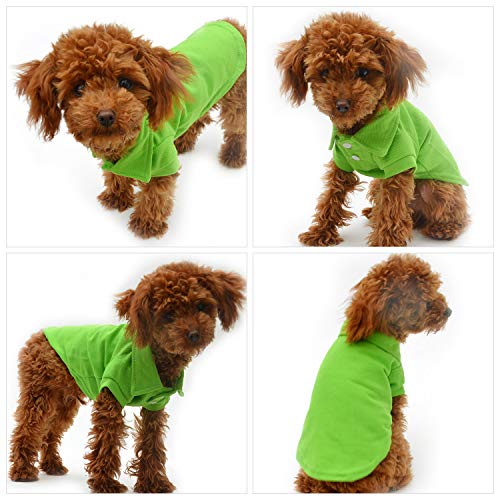 Basic Dog Polo Shirts Premium Cotton (XS (-6lbs) / Green)