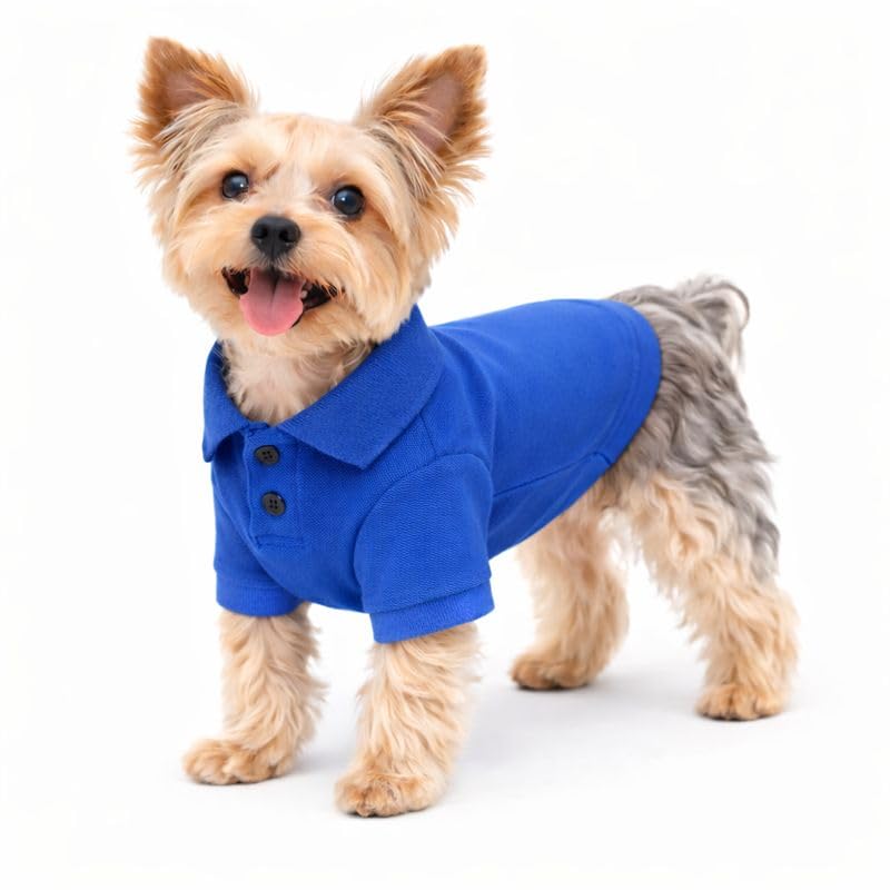 Basic Dog Polo Shirts Premium Cotton (XS (-6lbs) / Blue)