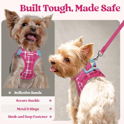 Dog Harness Small Sized and Leash Set (Rose Red Plaid / Xxs (chest: 12.4 - 14.2"))