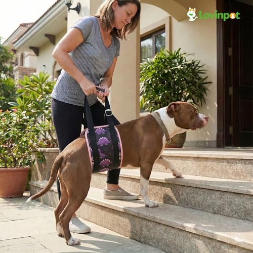 Dog Lift Harness Rear Support Sling (Black Pink)