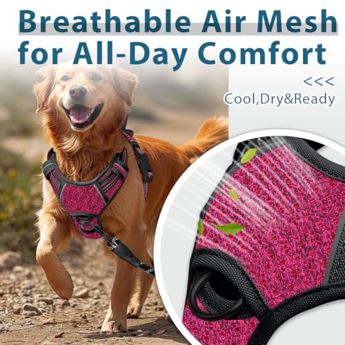 No Pull Dog Harness for Large Dogs (X-Large(Chest:30-38”) / Pink/Black)