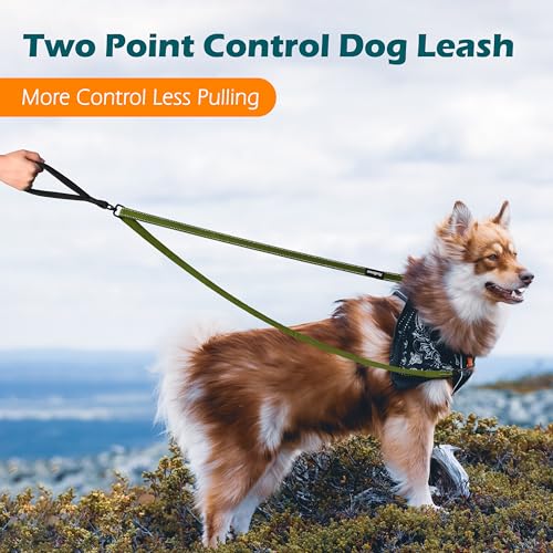 Two Point Control Dog Leash (Khaki Green)