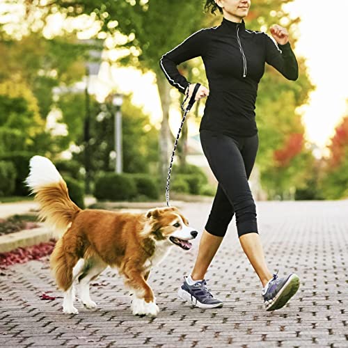 Metal Chain Dog Leash Chew Proof for Dogs (Black / 4FT 3.0mm (Medium dogs))