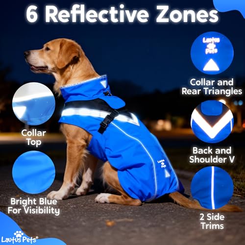 Dog Clothes Dog Raincoat (Blue / Large)