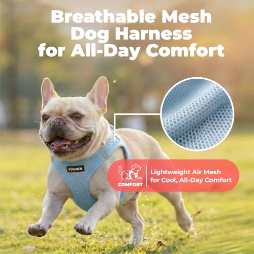 Voyager Step in Air Dog Vest Harness (Baby Blue / L (Chest: 18 - 20.5"))
