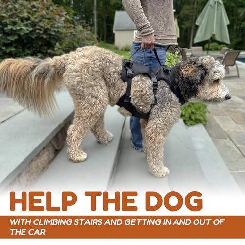 Dog Lift Harness (Large)