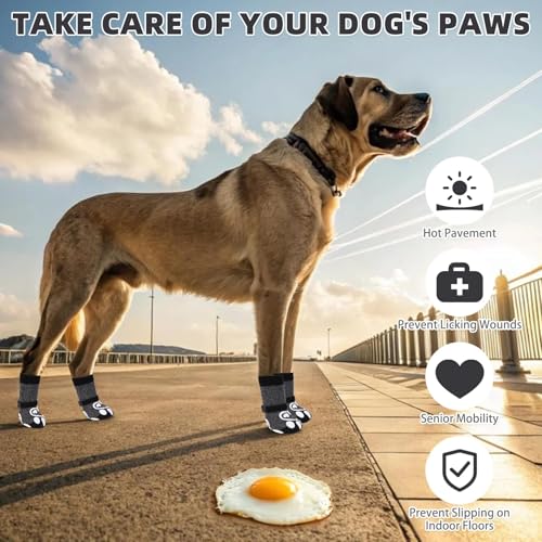 Dog Socks for Hot (Dark Grey / Large(4 Pack))