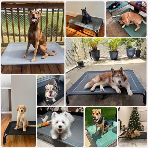 Elevated Dog Bed Raised Outdoor Dog Cot for Medium Dogs (M-35.4"L×25.6"W×7.9"Th / Blue)
