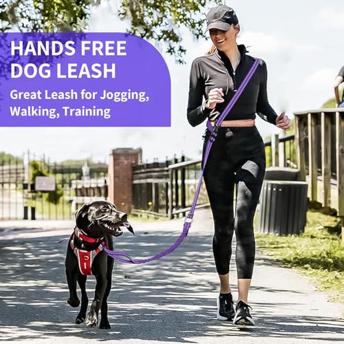 Hands Free Dog Leash by Kazazoo (PRUPLE Bungee / M)