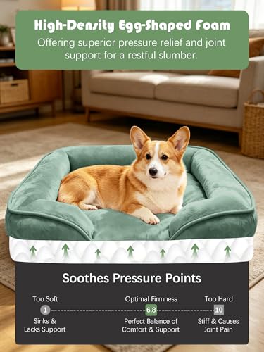 Orthopedic Dog Bed with Sides (28.0"L x 23.0"W x 6.5"Th / Green)