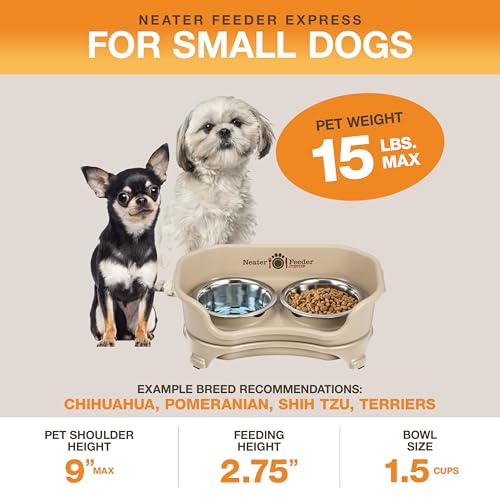 Express Mess Proof Dog Bowls Elevated for Small Breeds Under 15 Lb (Small w/ Standard Bowls / Almond)