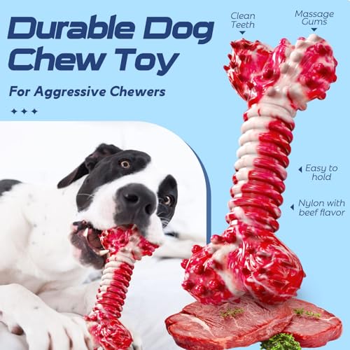 Dog Chew Toys for Aggressive Chewers (5 Packs / Large)