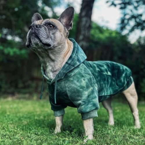 Dog Hoodie Buttery (Green Skydye / Small)