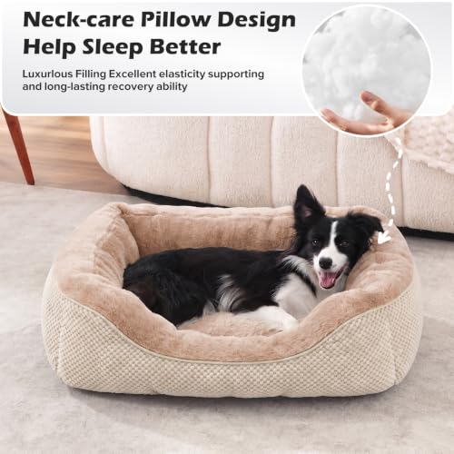 Large Dog Beds Large Sized Dog (L PLUS (38"x28"x8") / Beige)